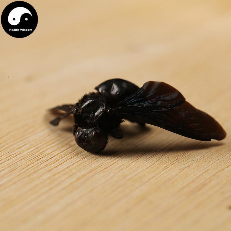 Zhu Feng 竹蜂, Xylocopa Bee-Health Wisdom™
