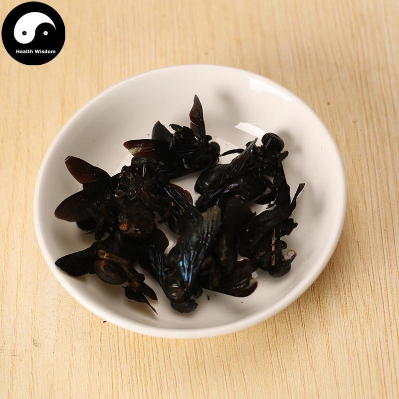 Zhu Feng 竹蜂, Xylocopa Bee-Health Wisdom™