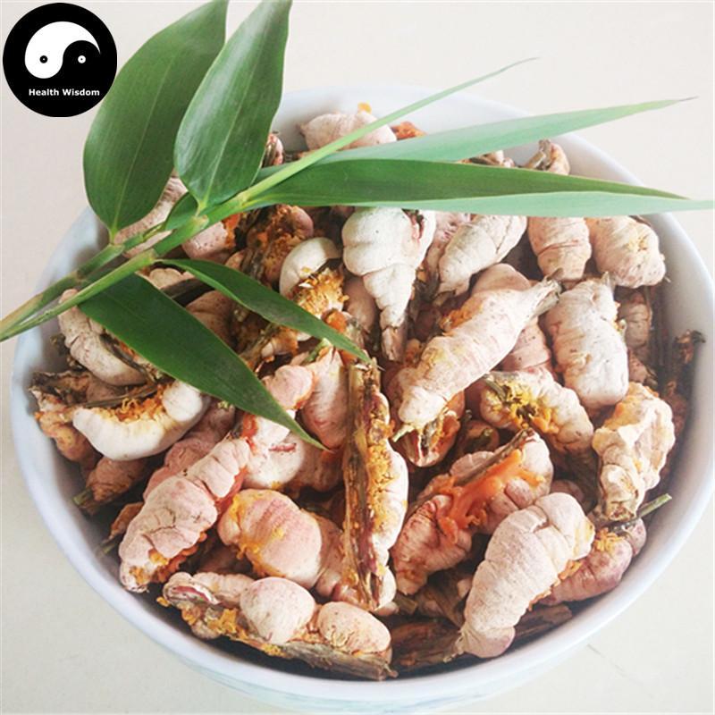 Zhu Huang 竹黄, Bamboo Yellow, Shiraia Bambusicola-Health Wisdom™