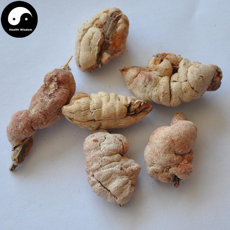 Zhu Huang 竹黄, Bamboo Yellow, Shiraia Bambusicola-Health Wisdom™