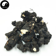 Zhu Ling 猪苓, Sclerotum Polyporus, Umbel Polypore Mushroom, Griffolia, Pig Fungus-Health Wisdom™