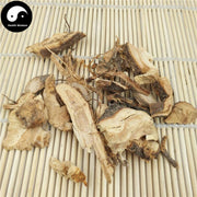 Zhu Ma Gen 苎麻根, Radix Boehmeriae, Ramie Root-Health Wisdom™