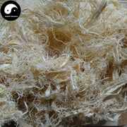 Zhu Ru 竹茹, Caulis Bambusae In Taeniam, Bamboo Shavings, Jiang Zhu Ru-Health Wisdom™