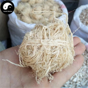 Zhu Ru 竹茹, Caulis Bambusae In Taeniam, Bamboo Shavings, Jiang Zhu Ru-Health Wisdom™