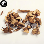 Zhu Sha Gen 朱砂根, Radix Ardisiae Crenatae, Coral Ardisia Root, Da Luo Shan-Health Wisdom™