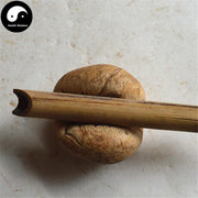 Zhu Sheng Rou Qiu Jun 竹生肉球菌, Engleromyces Goetzi-Health Wisdom™