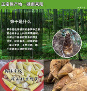 Zhu Sun Gan 竹笋干, Dried Bamboo Shoots, Chinese Bamboo Food Sun Jian 笋尖-Health Wisdom™