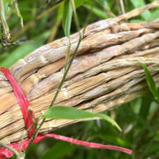 Zhu Sun Jian 竹笋尖, Dried Bamboo Shoots, Chinese Bamboo Food Sun Gan 笋干-Health Wisdom™