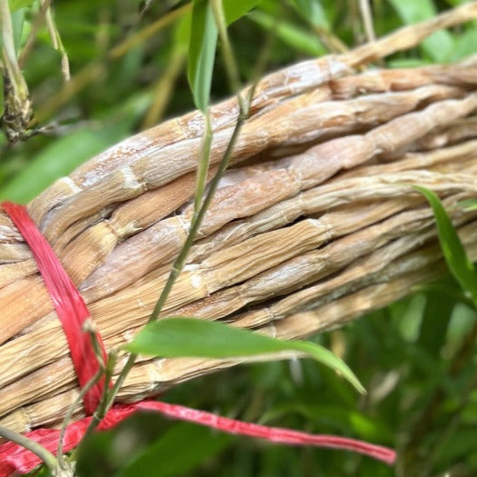 Zhu Sun Jian 竹笋尖, Dried Bamboo Shoots, Chinese Bamboo Food Sun Gan 笋干-Health Wisdom™