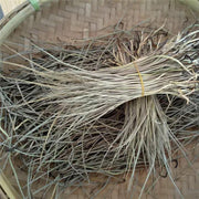 Zhu Ye Xin 竹葉心, Tender Lophatherum Leaf, Zhu Ye Juan Xin-Health Wisdom™