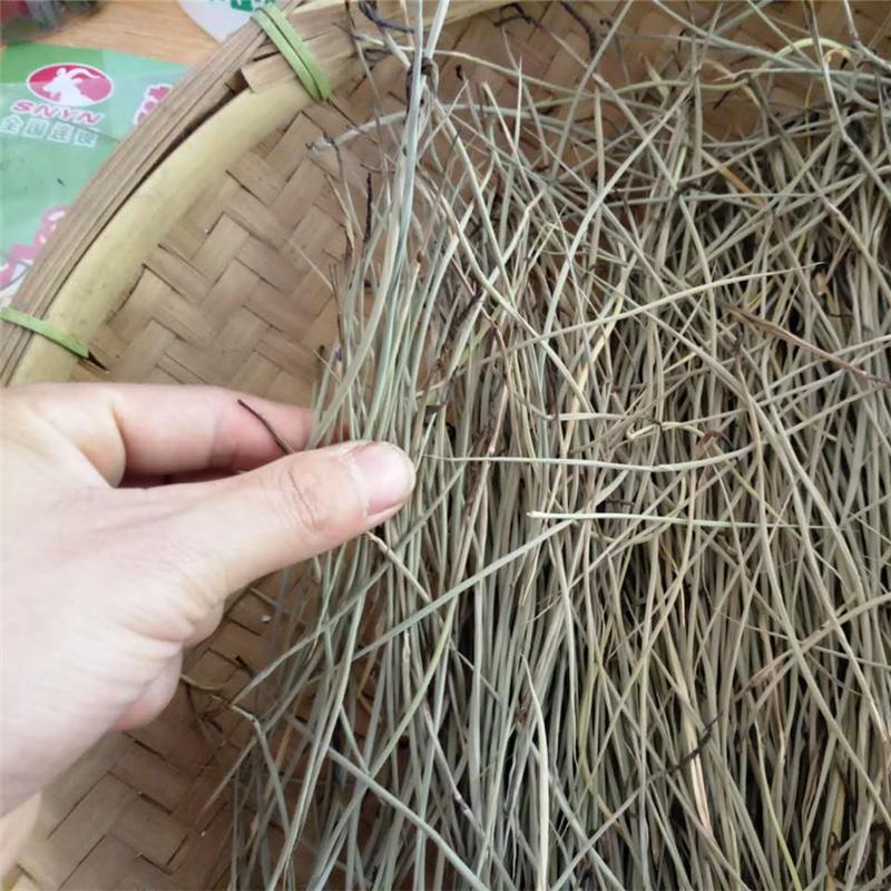 Zhu Ye Xin 竹葉心, Tender Lophatherum Leaf, Zhu Ye Juan Xin-Health Wisdom™