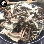 Zhui Feng San 追风伞, Herba Buddleja lindleyana Fortune, Jing Feng San-Health Wisdom™
