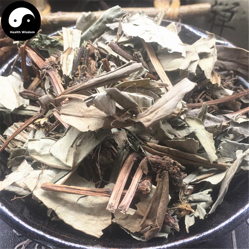 Zhui Feng San 追风伞, Herba Buddleja lindleyana Fortune, Jing Feng San-Health Wisdom™