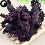 Zi Cao 紫草, Radix Lithospermi, Sinkiang Arnebia Root, Radix Arnebiae, Redroot Gromwell Root-Health Wisdom™