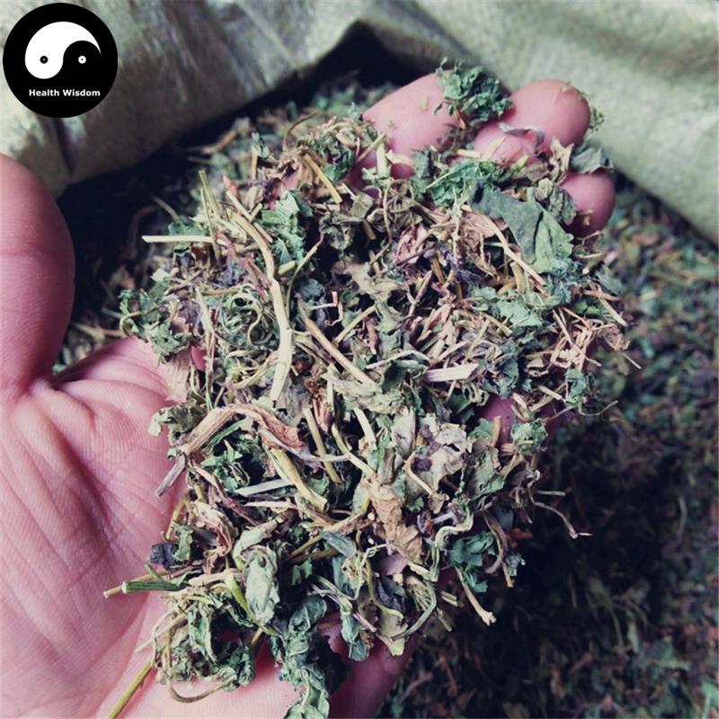 Zi Hua Di Ding 紫花地丁, Herba Violae, Philippine Violet Herb, Viola Philippica-Health Wisdom™