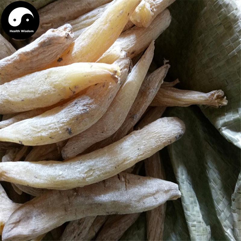 Zi Mo Li Gen 紫茉莉根, Radix Jasmini Sambac, Arabian Jasmine Root, Ru Di Lao Shu-Health Wisdom™