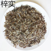 Zi Shii 梓实, Ovate Catalpa Fruit, Catalpa Seeds, Zi Shu Guo