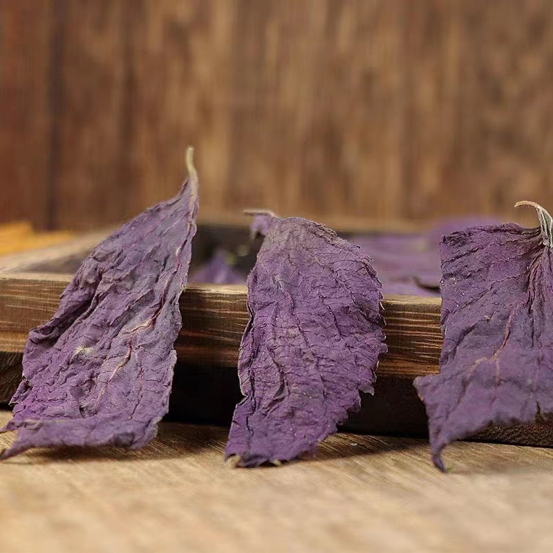 Zi Su Ye 紫蘇葉, Folium Perillae, Perilla Leaf-Health Wisdom™