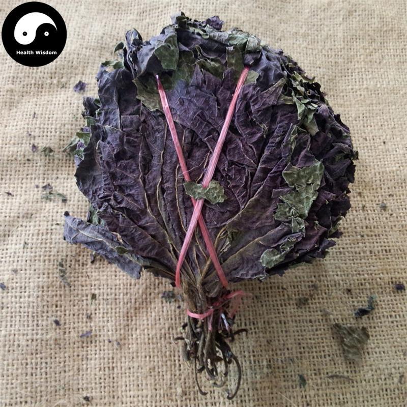 Zi Su Ye 紫蘇葉, Folium Perillae, Perilla Leaf-Health Wisdom™