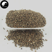 Zi Su Zi 紫蘇子, Fructus Perillae, Su Zi, Perilla Fruit-Health Wisdom™