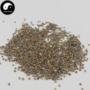Zi Su Zi 紫蘇子, Fructus Perillae, Su Zi, Perilla Fruit-Health Wisdom™