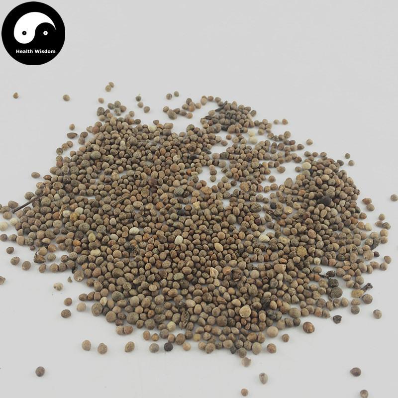 Zi Su Zi 紫蘇子, Fructus Perillae, Su Zi, Perilla Fruit-Health Wisdom™