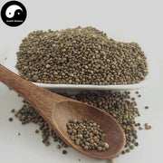 Zi Su Zi 紫蘇子, Fructus Perillae, Su Zi, Perilla Fruit-Health Wisdom™