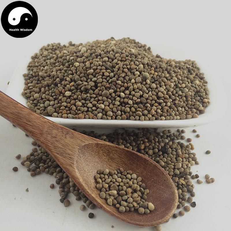 Zi Su Zi 紫蘇子, Fructus Perillae, Su Zi, Perilla Fruit-Health Wisdom™
