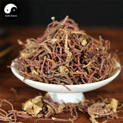 Zi Wan 紫菀, Radix Asteris, Tatarian Aster Root-Health Wisdom™
