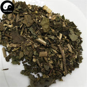 Zi Zhu Cao 紫珠草, Da Ye Zi Zhu, Folium Callicarpae Formosanae, Taiwan Beautyberry Leaf-Health Wisdom™