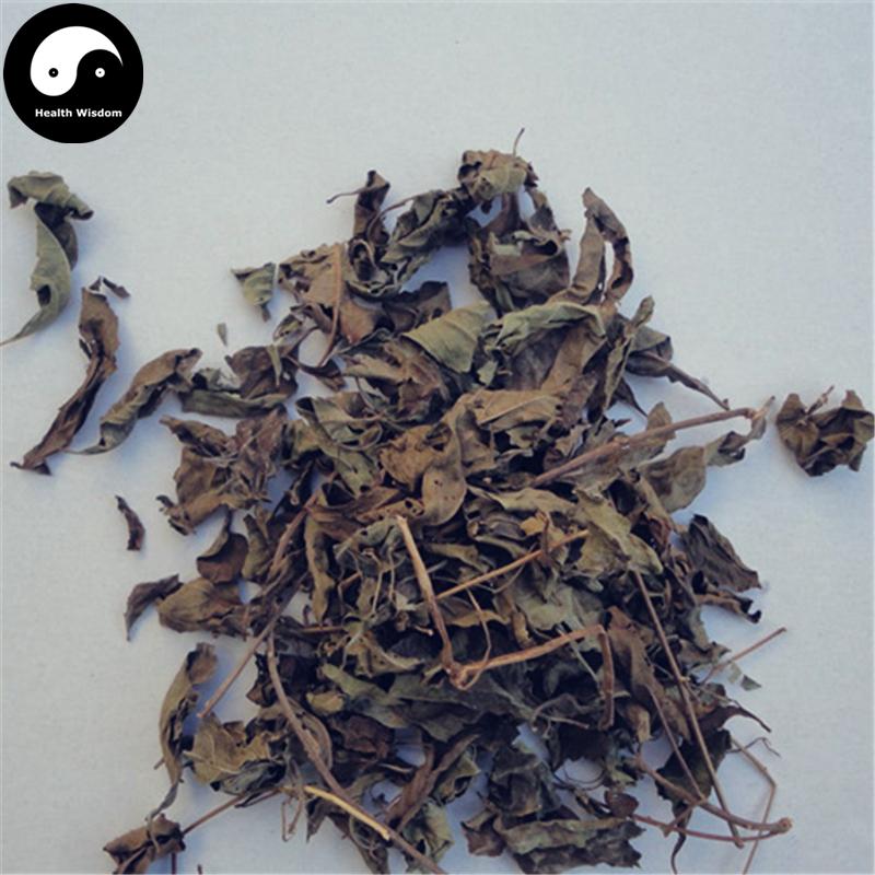Zi Zhu Cao 紫珠草, Folium Callicarpae Formosanae, Taiwan Beautyberry Leaf-Health Wisdom™