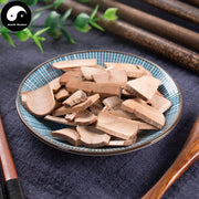 Zou Ma Tai 走马胎, Radix Ardisiae Gigantifoliae, Da Fa Yao, Xue Feng-Health Wisdom™